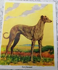 Vintage dog print for sale  Lynchburg