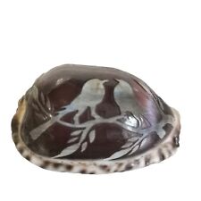 Small cowrie carved for sale  MARKET RASEN