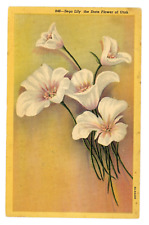 Vintage postcard c1939 for sale  Cobden