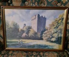 Blarney castle ireland for sale  Ireland