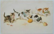 Cats playing postcard. for sale  WORKSOP