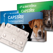 Capstar dog cat for sale  ORMSKIRK