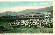 Postcard sheep pens for sale  Saint Joseph