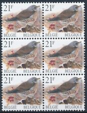 Bin16739 belgium birds d'occasion  Liège