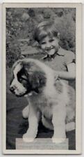 Saint Bernard Puppy Dog With Young Child 1930s  Ad Trade Card for sale  Shipping to Canada