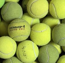 Usado, 25 pelotas de tenis usadas para perros - ¡ENVÍO GRATUITO! segunda mano  Embacar hacia Argentina