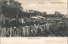 Argentina cattle corral for sale  Harvard