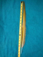 Yellow macaw tail for sale  Mount Morris