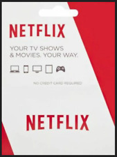 Netflix gutschein gift gebraucht kaufen  Warstein