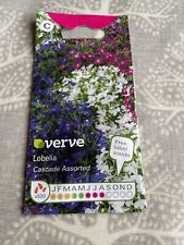 Verve flower lobelia for sale  CROYDON