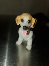 Adorable tall beagle for sale  Hico