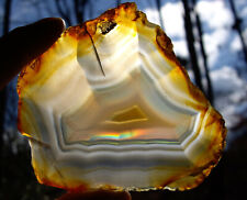 Cool polished agate for sale  Gainesville