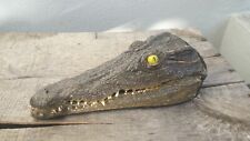 Taxidermie crâne crocodile d'occasion  Lorient