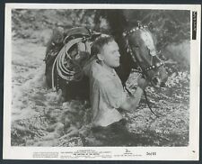 VAN JOHNSON in The Bottom Of The Bottle '56 HORSE STREAM comprar usado  Enviando para Brazil