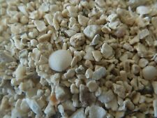 Crushed coral carib for sale  HOLMFIRTH