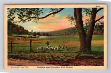 Cartão postal vintage Charleston WV-West Virginia, General Sheep Field Greetings comprar usado  Enviando para Brazil