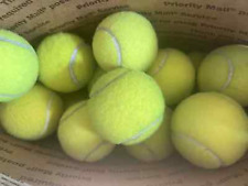 Used tennis balls for sale  Delafield