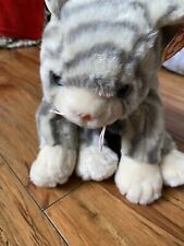Grey tabby cat for sale  Glendale