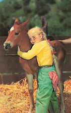 Postcard horse pony for sale  Fort Myers