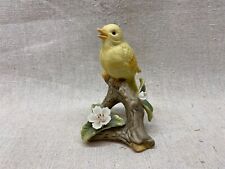 Yellow canary bird for sale  Batavia