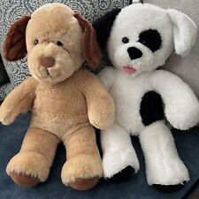 Teddy bear dogs for sale  POOLE