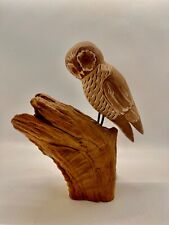 Owl driftwood base for sale  Whitsett