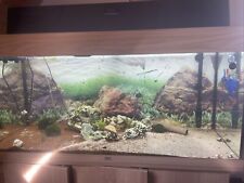 Juwel aquarium rio gebraucht kaufen  Erbach