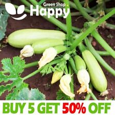 Vegetable seeds courgette for sale  DONCASTER