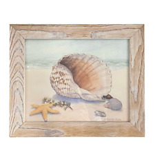 Seashells coastal beach for sale  New York