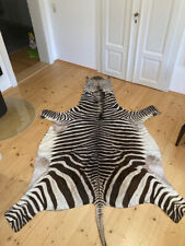Zebrafell südafrika zebra gebraucht kaufen  Dresden