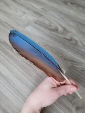 28cm blaue papageienfeder gebraucht kaufen  Haarbach