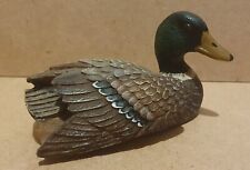 Mallard drake duck for sale  BRISTOL