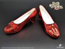 Wizard ruby slippers for sale  Myrtle Beach