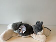 Nici jack husky gebraucht kaufen  Wardenburg