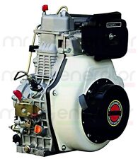 Motore diesel monocilindrico usato  Brindisi