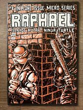 Raphael Teenage Mutant Ninja Turtles 1 segunda mano  Embacar hacia Argentina