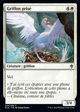 Griffon prisé blanc d'occasion  Bellegarde