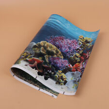 Aquarium background double for sale  Shipping to Ireland