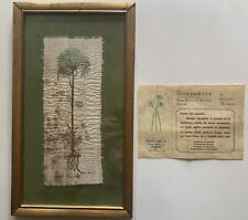 Souvinir papiro originale usato  Gioia Del Colle