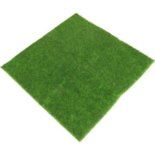 X30cm lawn rug for sale  Shipping to Ireland