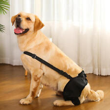 dog knee brace for sale  Dayton