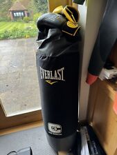 Hanging everlast punch for sale  BALDOCK