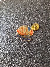 Pin aquarium rochelle d'occasion  Expédié en Belgium