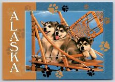Alaskan malamute puppies for sale  Richmond