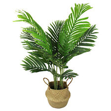 Künstliche palme 90cm gebraucht kaufen  Sengwarden,-Fedderwarden