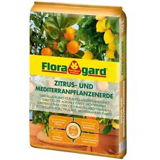 Floragard zitrus mediterranpfl gebraucht kaufen  Werden