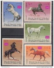Yemen 1967 cavalli usato  Trambileno