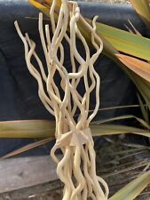 5ft dried twisted for sale  HASTINGS