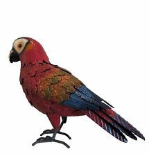 Parrot macaw bird for sale  Marietta