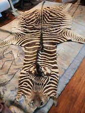 Zebra skin real for sale  Houston